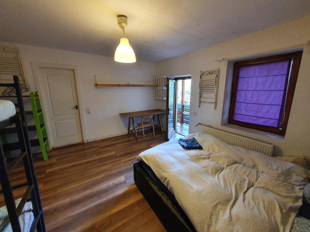 Zen Hostel Клуж-Напока Экстерьер фото